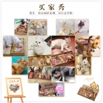 猫玩具逗猫棒猫咪磨牙棒幼猫磨牙啃咬耐咬神器小猫用品猫玩具自嗨