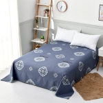 床单250X230纯棉斜纹加厚被单全棉四件套被套床上用品