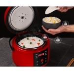 龙的 Longde 迷你电饭煲 LD-FS20G