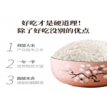 天瑞优品 黄花粘 5KG