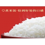 天瑞优品 精品桥米 5KG