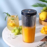 大宇果汁杯DYLL-D30