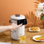 大宇电热开水瓶DYSP-25F01