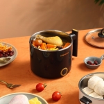 大宇多用锅DYZM-1266