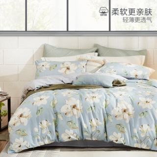 LOVO新雪丽抗菌纤维夏被（伊芙花园）150x215(cm)