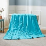 LOVO蓝梦英威达抗菌夏被150×215(cm)