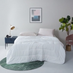 LOVO美柔抗菌被（英威达）