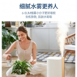 摩飞有雾加湿器MR2082