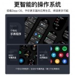 Amazfit跃我GTR 3—曜石黑&云母灰