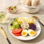 康佳  煮蛋器KGZZ-1202