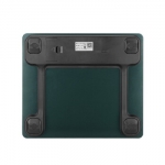 乐扣乐扣 LSC-B867FU 智能家用体脂秤(绿色)