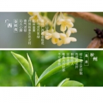 茶里 桂花龙井24g (2g*12)