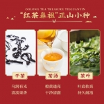 茶里 正山小种礼盒200g(100g*2罐）