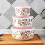 NOKA  3件套骨瓷保鲜碗 NOKA-20419