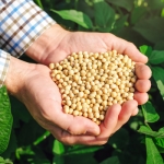 鲜禾鲜杂粮礼盒系列 鲜禾鲜丰谷飘香杂粮礼盒1800g