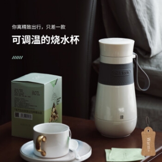 柏翠（petrus）便携式电热水壶保温杯烧水杯家用宿舍旅行出差烧水壶PE2822 白色