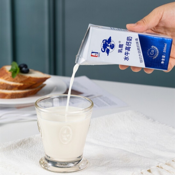 乳鹰 200ML乳鹰水牛高钙奶*12瓶/箱（礼盒装）