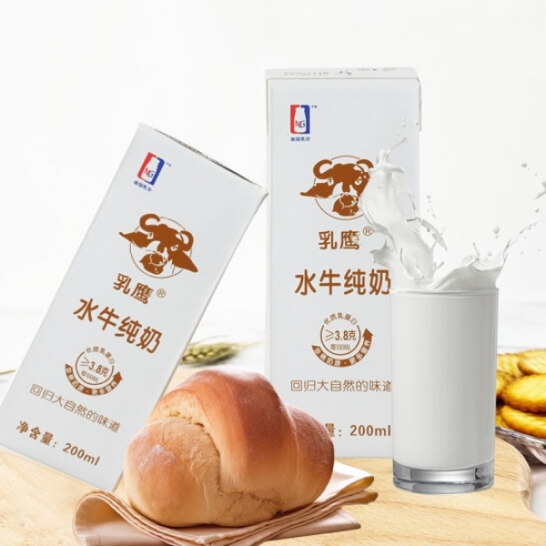 乳鹰 200ML乳鹰水牛纯奶*10瓶/箱（电商装）