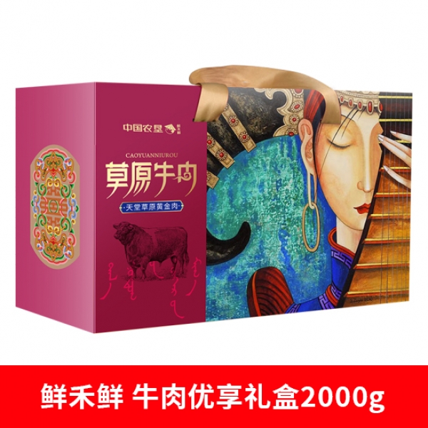 鲜禾鲜 牛肉优享礼盒2000g