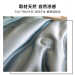 澳西奴 天丝夏被四件套【空调被200*230 床单 245*250 枕套一对】