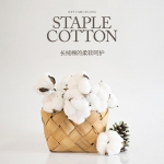 澳西奴 100支全棉印花四件套