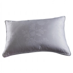 澳西奴 高品质鹅绒枕48*74C