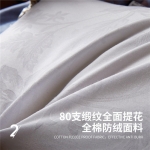 澳西奴 高品质鹅绒枕48*74C