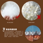 澳西奴 高品质鹅绒枕48*74C
