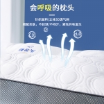 金织堡 云端护颈枕48*74（单只装）