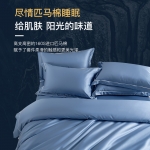 金织堡 600TC匹马棉四件套