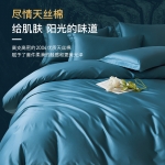 金织堡 天丝棉四件套