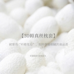 金织堡 蚕丝枕套