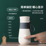 柏翠（petrus）便携式电热水壶保温杯烧水杯家用宿舍旅行出差烧水壶PE2822 白色