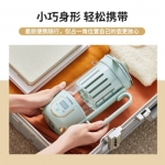 柏翠(petrus)养生壶 养生杯 电水壶 家用迷你煮茶壶PE2866