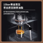 柏翠（petrus)咖啡机意式半自动家用商用打奶泡机PE2190