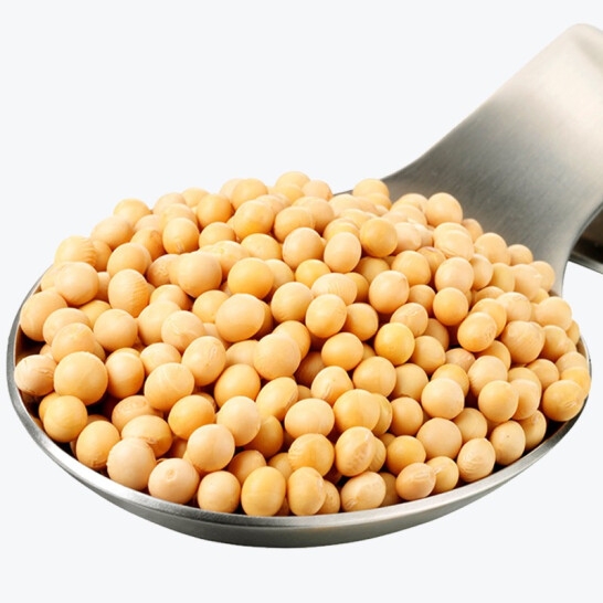 天瑞优品黄豆500克*2包