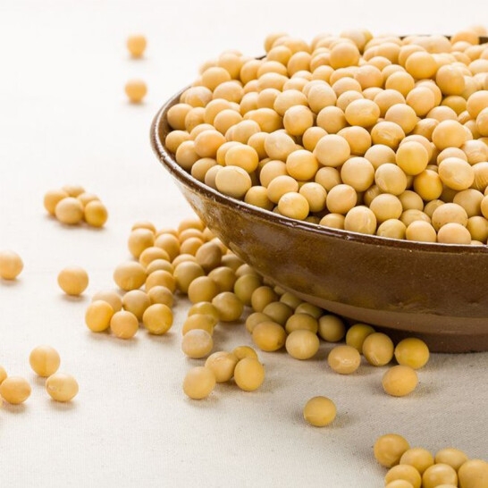 天瑞优品黄豆500克*2包