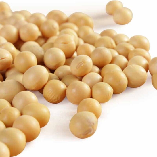 天瑞优品黄豆500克*2包