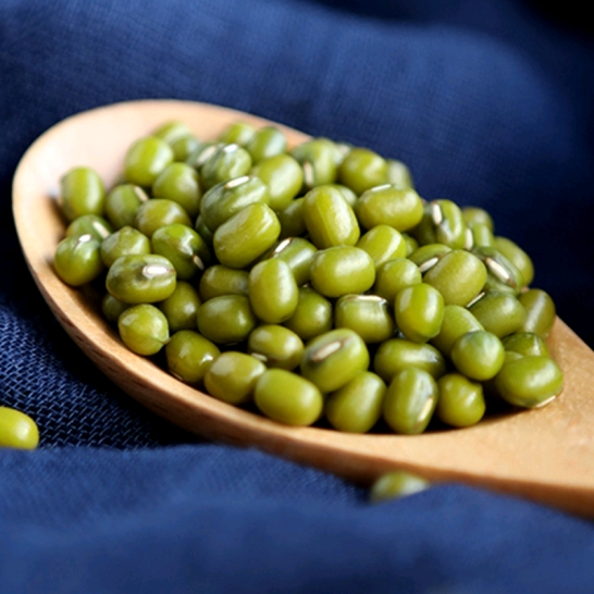 天瑞优品绿豆500克*2包