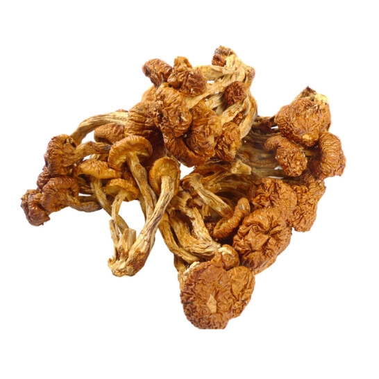 枫川 滑子菇70克