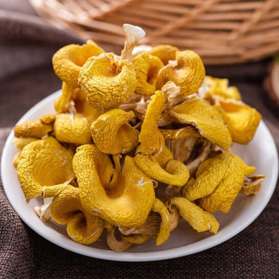 枫川 黄金菇50克