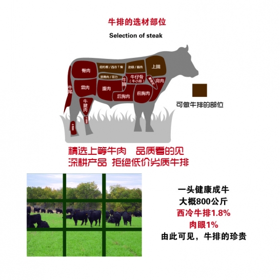 权礼臻选牛排卡 M'STEAK原切牛排598型