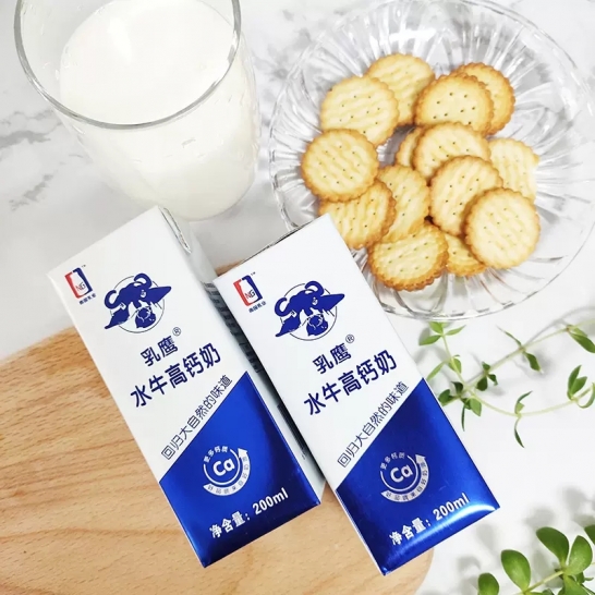 乳鹰 200ML乳鹰水牛高钙奶*10瓶/箱（电商装）