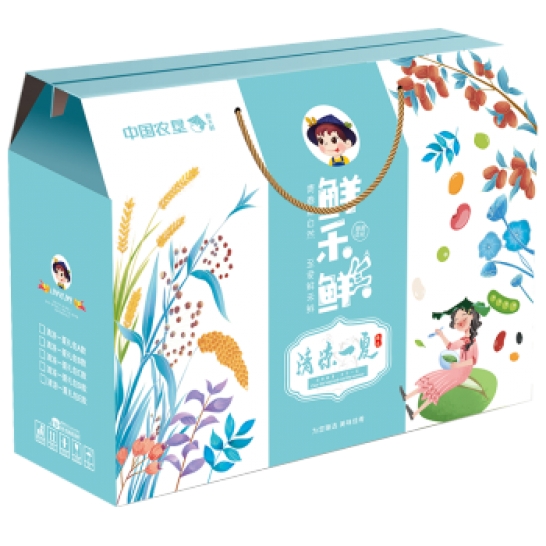 鲜禾鲜 清凉一夏大礼包组合礼盒 鲜禾鲜清凉一夏防暑降温大礼包B