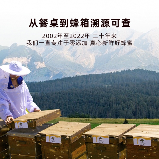 蜂之巢 椴树蜂蜜170gX3瓶