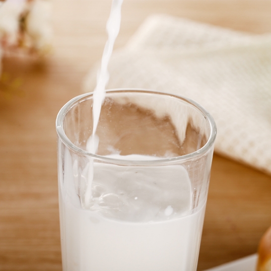 健多滋 营养蛋白质粉1000g/桶