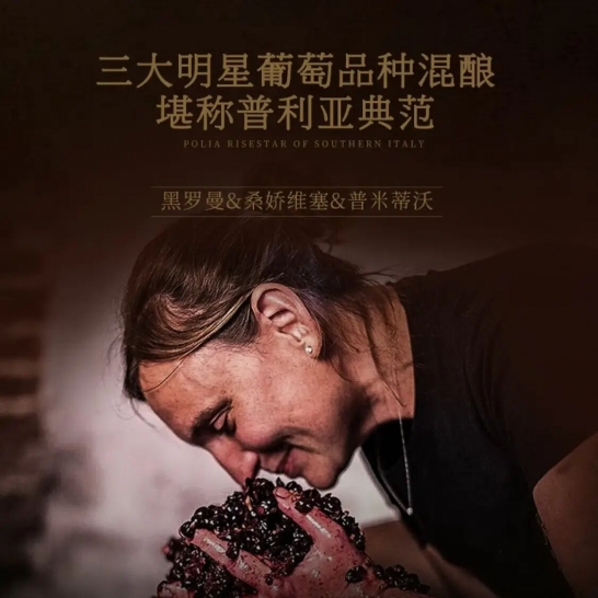 珍藏80年老藤干红葡萄酒 皇家穆苏 整箱礼盒装（750ML*6整箱礼盒装）