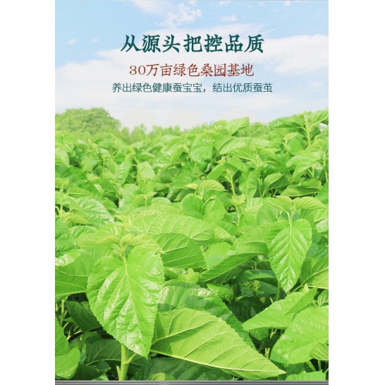 江南古韵蚕丝被200*230cm